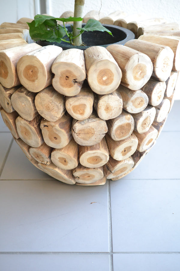 ウンベラータ×ロックウッド