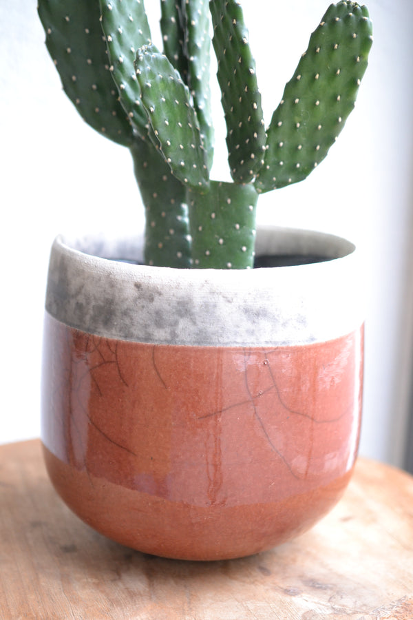 サボテン・スミエボシ×DOMANI