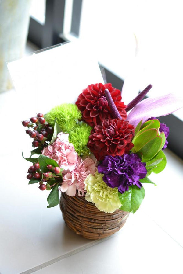 ダリア アレンジメント レッド シック