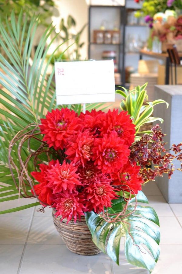 豪華　アレンジメント　レッドダリア　
