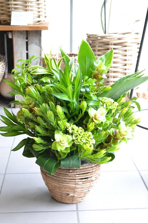 豪華　アレンジメント　グリーン