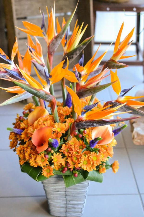 豪華　アレンジメント　ストレチア(極楽鳥花)