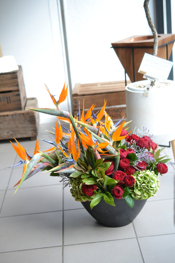 豪華　アレンジメント　ストレチア