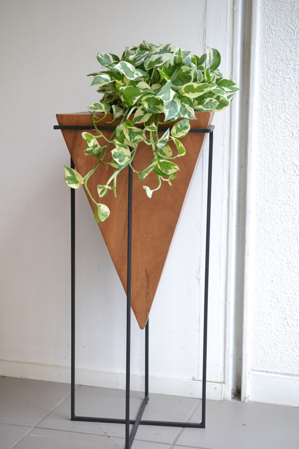 ポトス エンジョイ