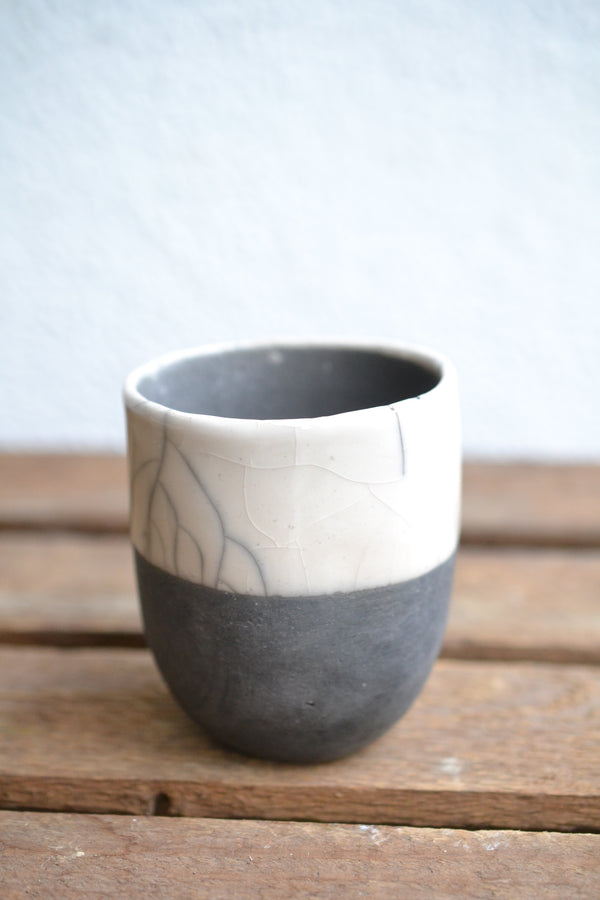 ガジュマルmini × DOMANI FES Pearl White