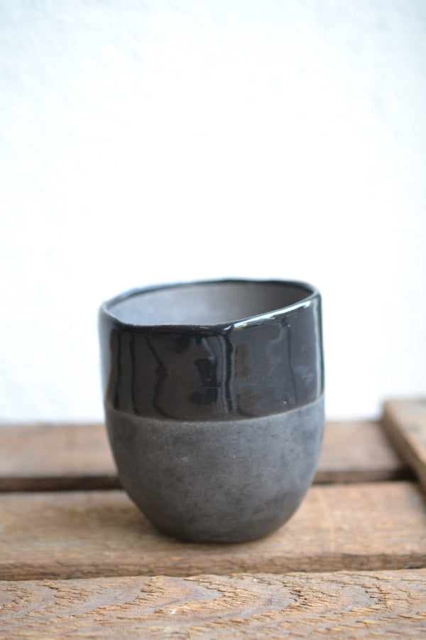 ガジュマルmini×DOMANI FES Black