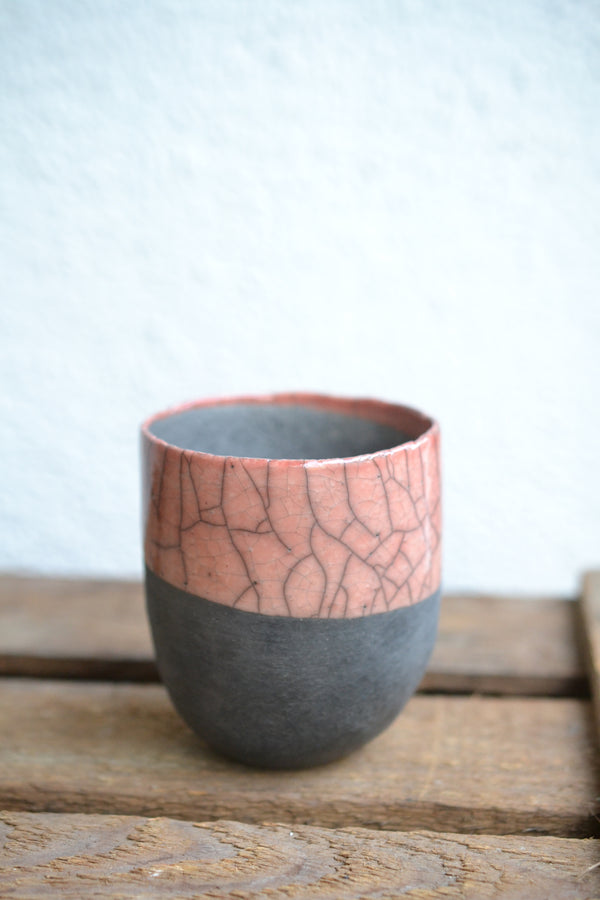 DOMANI FES LightCoral