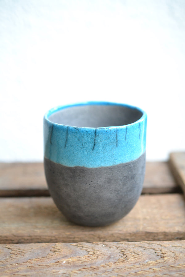 ガジュマルmini × DOMANI FES Turquoise