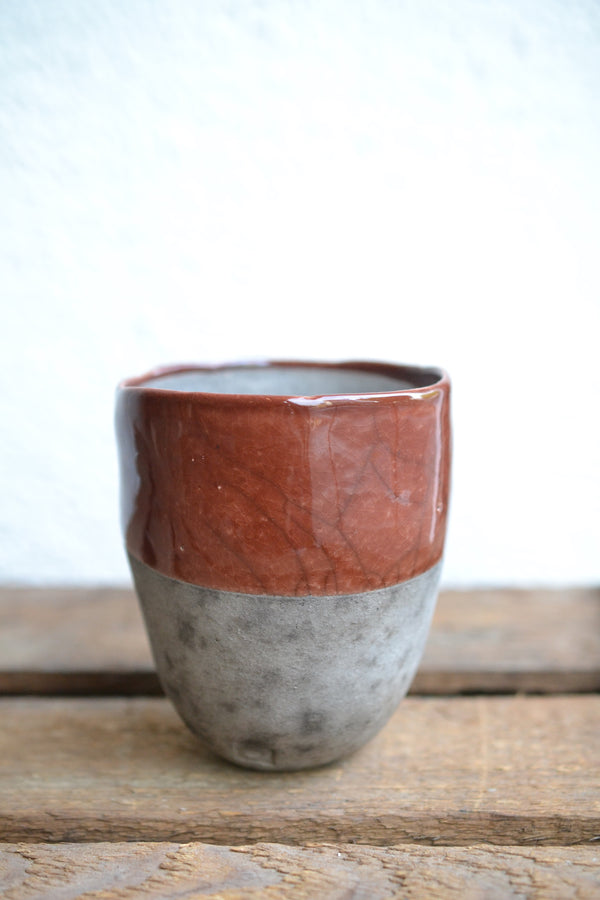 ガジュマルmini× DOMANI FES Brick