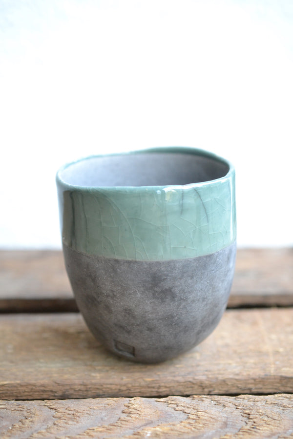 ガジュマルmini×DOMANI FES mint