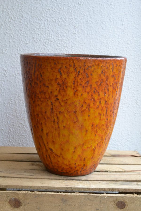 DOMANI ニューデリー28 オーカー