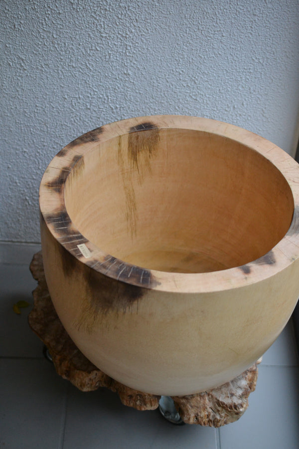 マンゴーウッド