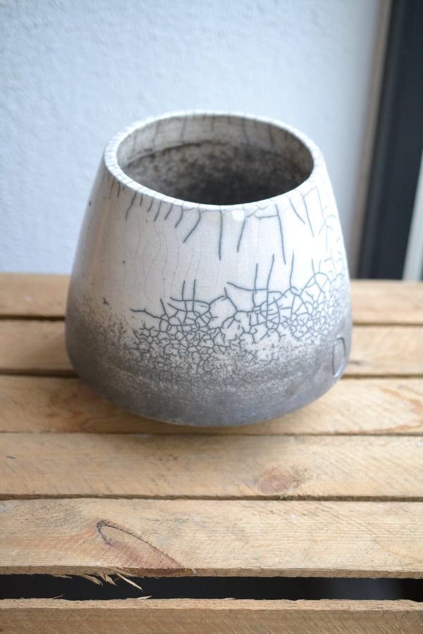 DOMANI カラカス 21 パールホワイト