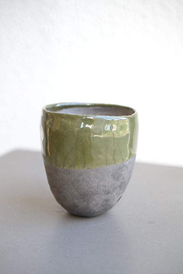 ガジュマルmini ×  DOMANI FES swamp