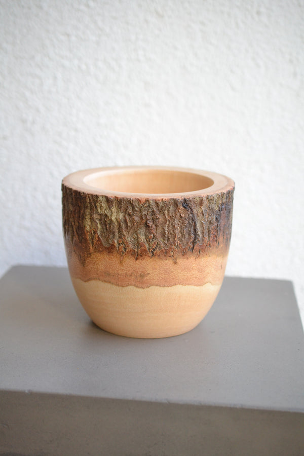 マンゴーウッドポット