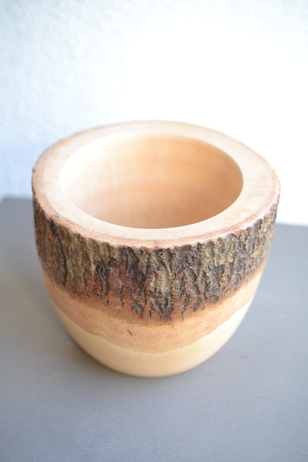 マンゴーウッドポット