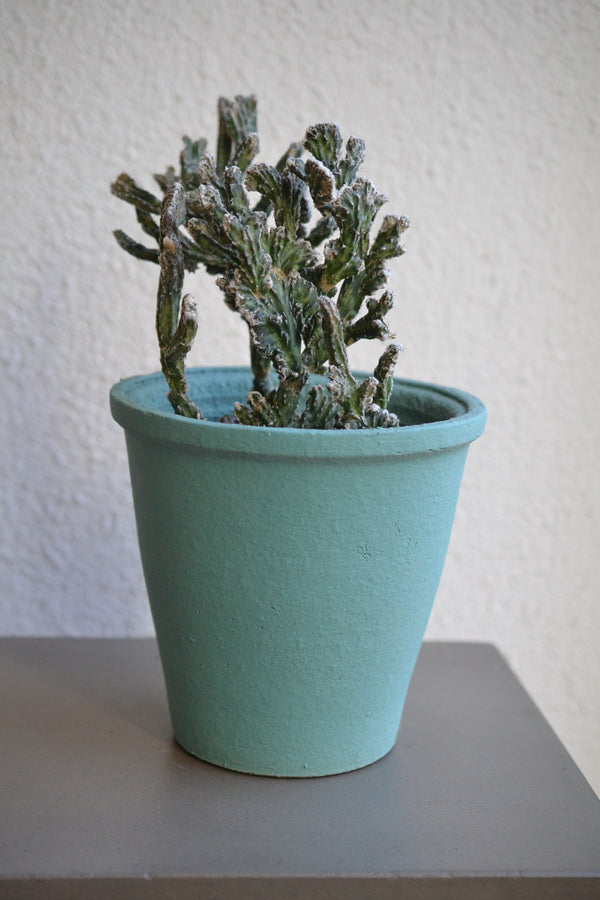 モンビレア・残雪の峰